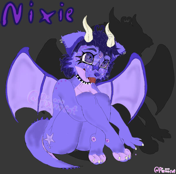 This is Nixie, she's a Dragon Puppy! My main fursona ;p